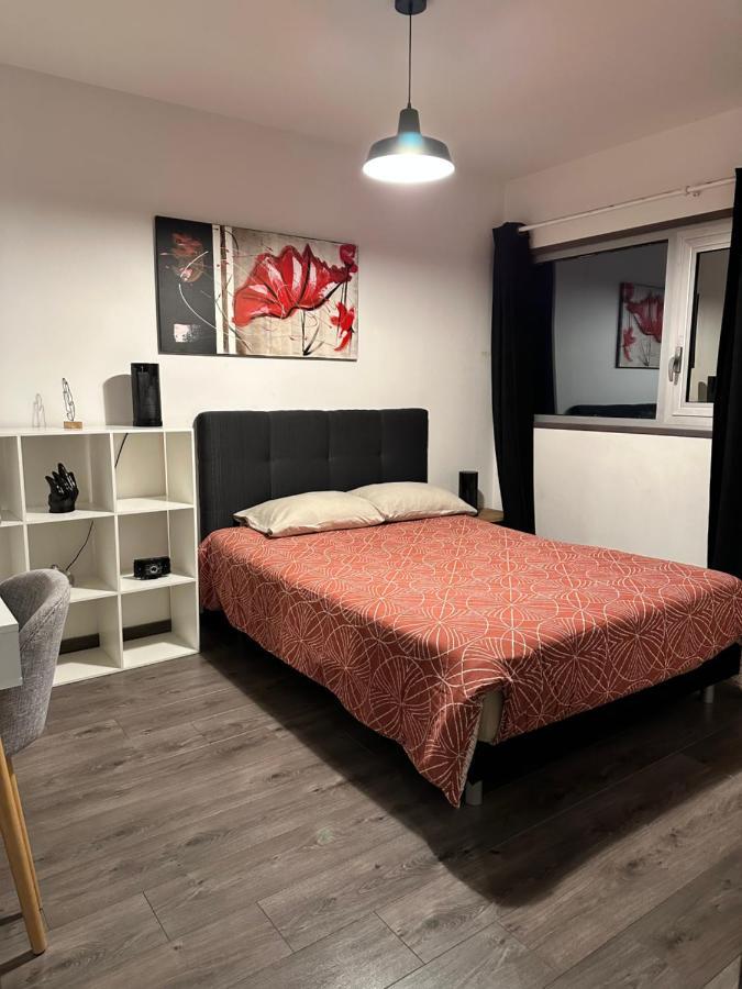 Magnifique Loft - Hyper Centre Apartment Annemasse Exterior photo