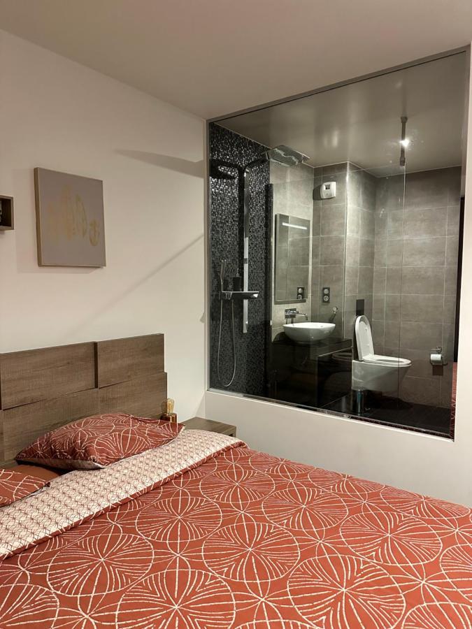 Magnifique Loft - Hyper Centre Apartment Annemasse Exterior photo